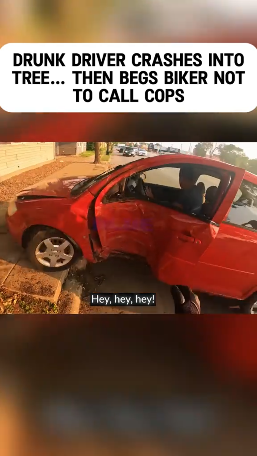 “Crash Goes Viral: Drunk Driver’s Panic After Slamming Into Tree”