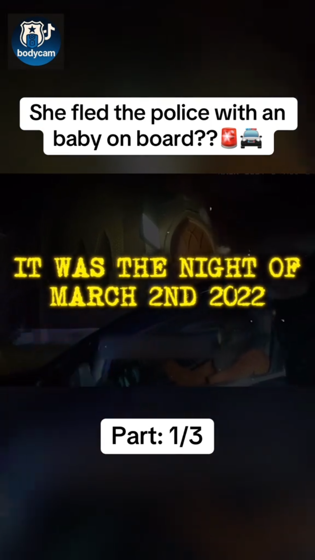 “Chilling Chase: Woman Endangers Infant While Fleeing Cops”
