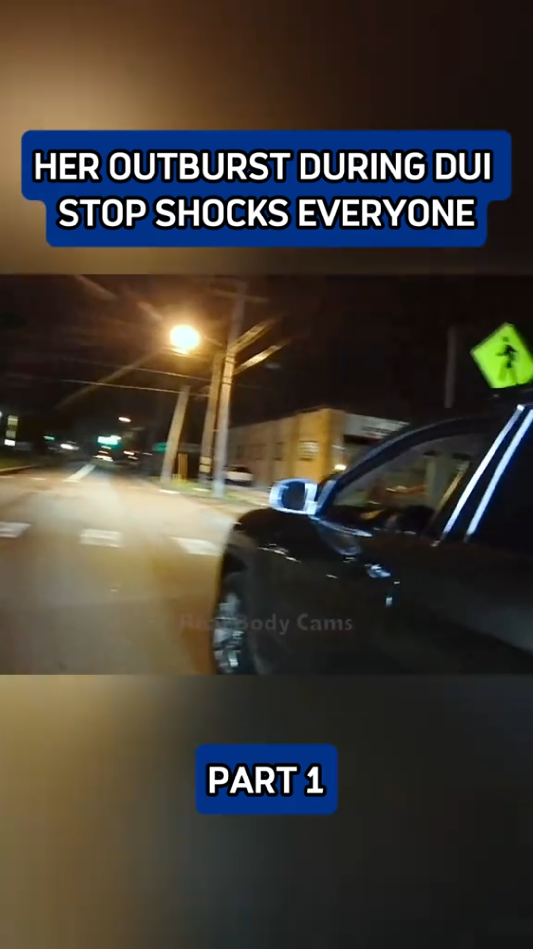 “Nobody Expected Her Reaction When Police Pulled Her Over”
