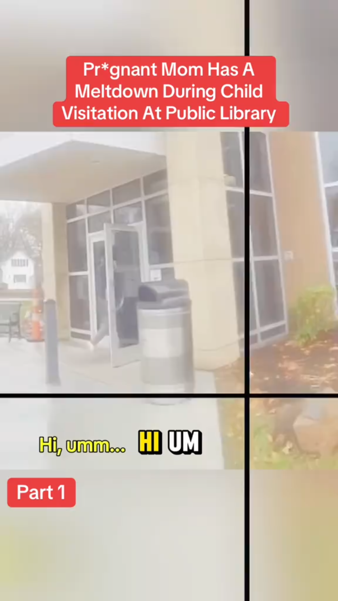 “Custody Visit Explodes Into Public Meltdown at Library”