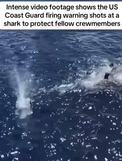 Coast Guard Fires Warning Shots to Protect Crew From Shark Encounter at Sea