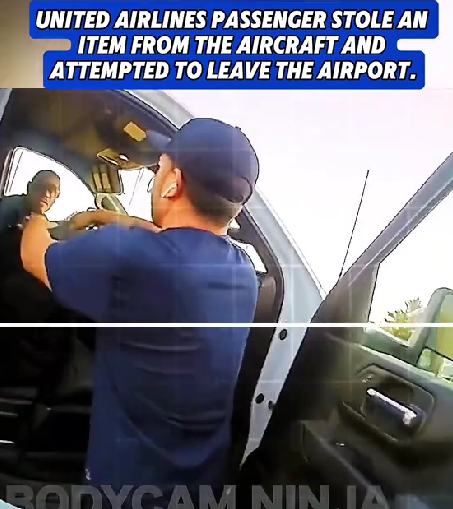 United Airlines Passenger Tries to Steal From Plane — What Happens Next Shocks Everyone 