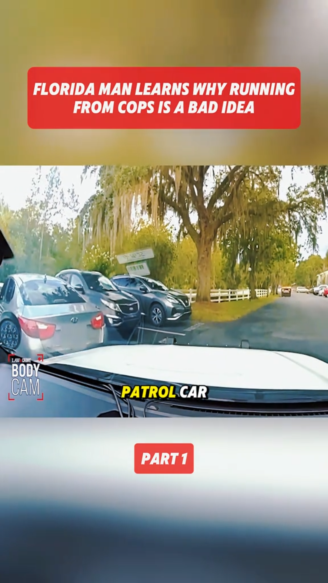 Florida Man Explains Why Running from Cops Is a Bad Idea