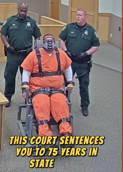 This image has an empty alt attribute; its file name is image-58.png