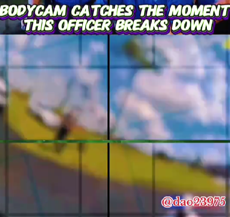 This image has an empty alt attribute; its file name is image-80.png