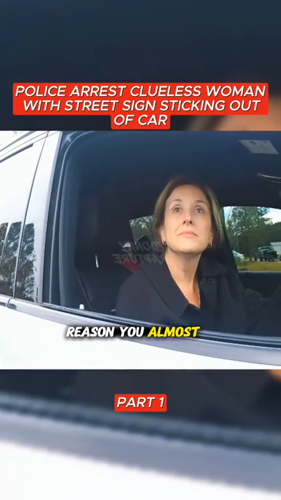 Police Arrest Clueless Woman With Street Sign Sticking Out of Her Car