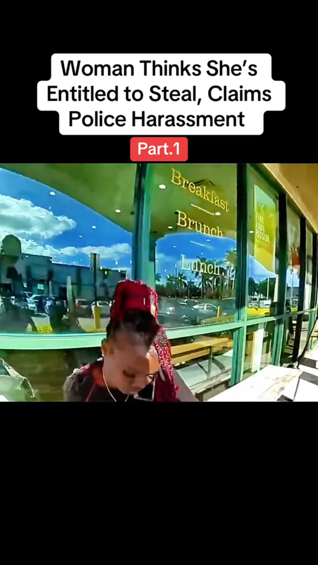 Woman Thinks She’s Entitled to Steal, Claims Police Harassment… But the Footage Says Otherwise