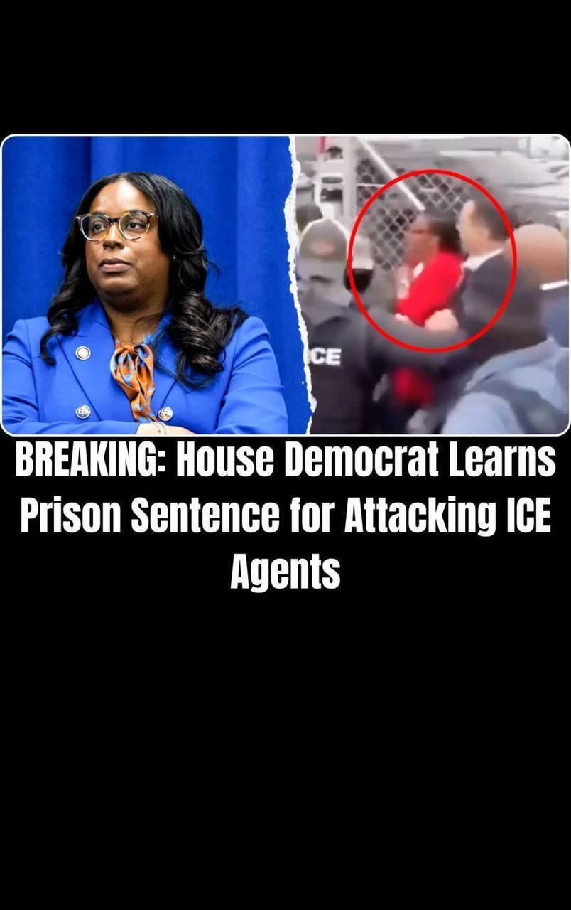 Democratic Lawmaker Faces Up to 17 Years in Prison Over Federal Case Tied to ICE Clash