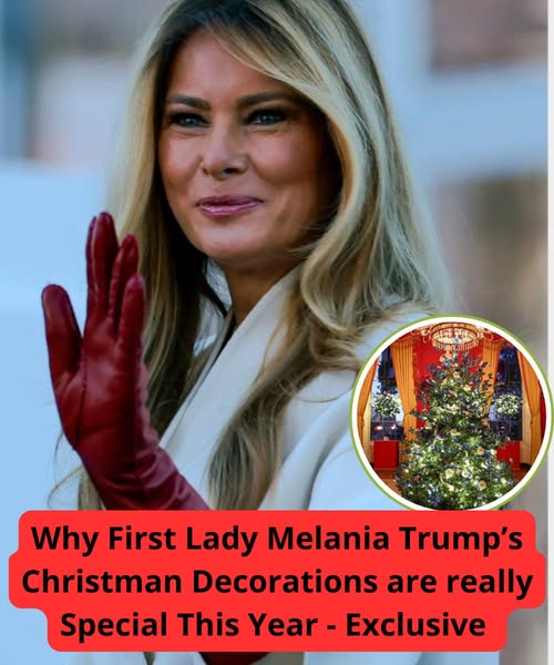 Melania Transforms the White House into a Dazzling Winter Wonderland and the Internet Can’t Stop Talking About It