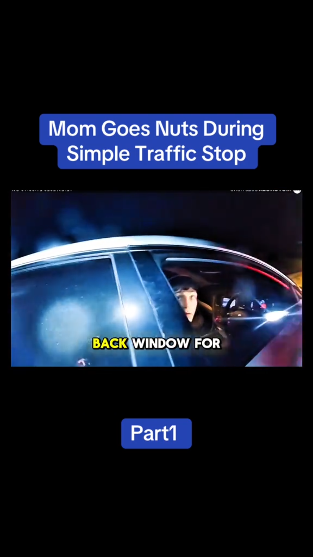 Mom Goes Nuts During Simple Traffic Stop