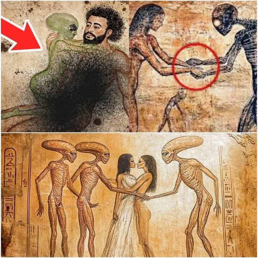 Global Attention Builds as Fans Await Official Updates on Oprah Winfrey