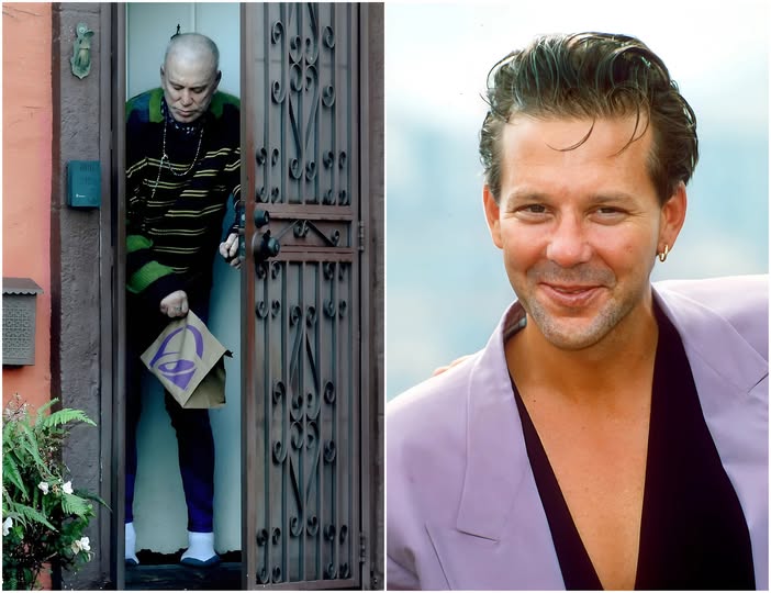 The New Year’s Day Sighting: A Rare Glimpse