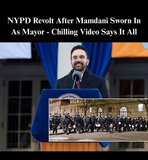 The Brooklyn Discovery: A Symbol of Institutional Friction?