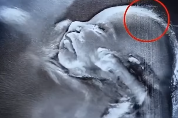 Doctors could not believe what they saw during the ultrasound!