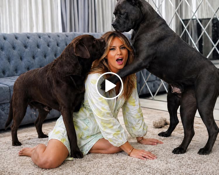 Melania Trump hospitalized after having…See more