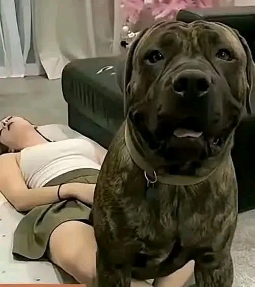 If a woman with her dog did something unusual in public