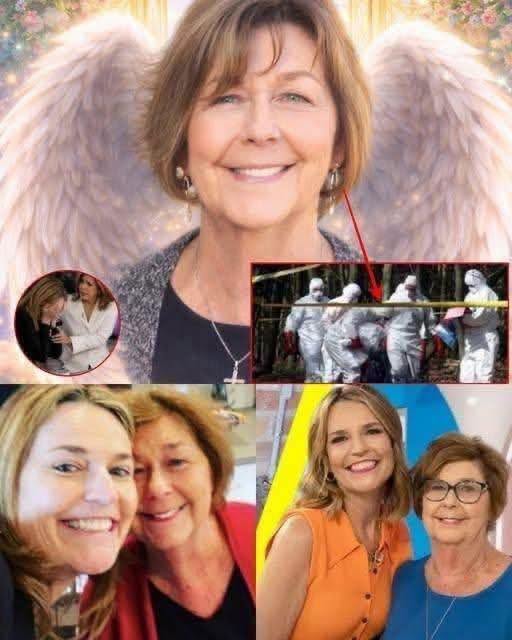 SAD NEWS! Savannah Guthrie has shared the most recent development regarding the search for her missing mother!