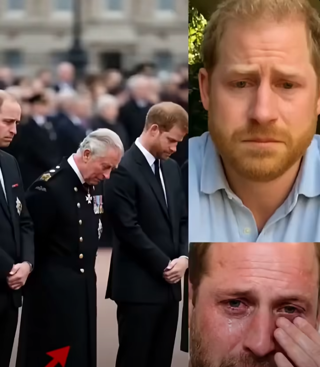 SAD NEWS — JUST 1 MINUTE AGO! With tear-swollen eyes and a trembling voice, Prince William steps forward to deliver a solemn message to the nation