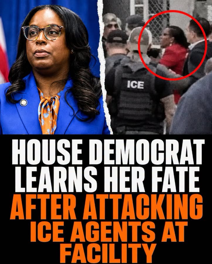 NJ Dem Accused of Assaulting ICE Agent Has to Stand Trial: Court